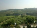 Azienda Moscato - Nizza M.to