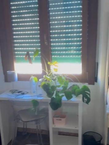 Affitto 2 camere singole Firenze - Foto 2
