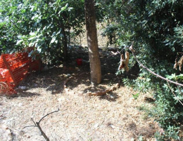 Immobile in asta di 290 m² in vendita a Caltagirone - Foto 3