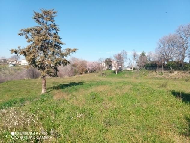 Casale in vendita a Castel Frentano - Foto 13