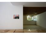 Counterforms -- A plus A gallery
