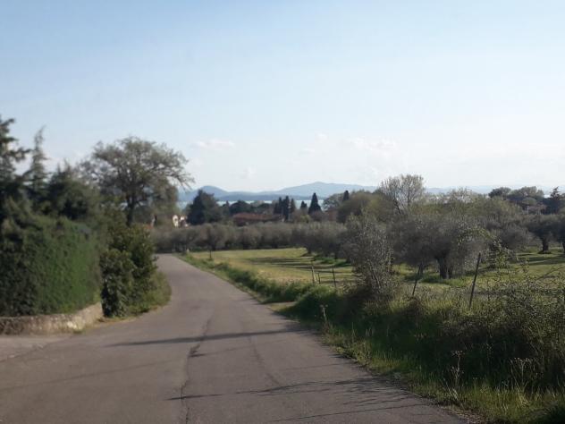 Industriale in vendita a Passignano sul Trasimeno - Foto 6