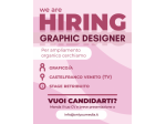 Cerchiamo grafico/a