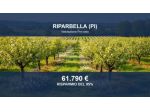 Immobile in asta di 220400 m² in vendita a Riparbella