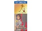 PAPA' GAMBALUNGA, JEAN WEBSTER, FRATELLI FABBRI EDITORI 1957.