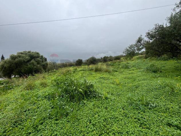 Terreno in vendita a Carlentini - Foto 11