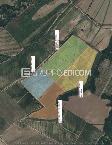 Terreno in vendita a Pisticci - Rif. 4549508
