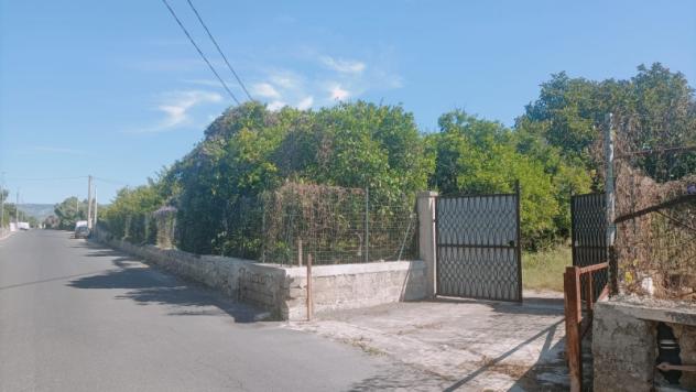 Villa da ristrutturare in paese con 5700 mq di giardino .