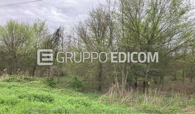 Terreno di 29309 mq in vendita a Cerea - Rif. 4549341 - Foto 5