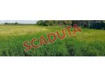 Immobile in asta di 56 m² in vendita a Grosseto