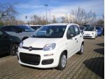 FIAT Panda 1.0 FireFly S&S Hybrid - Sensori/Bluetooth rif. 23173599