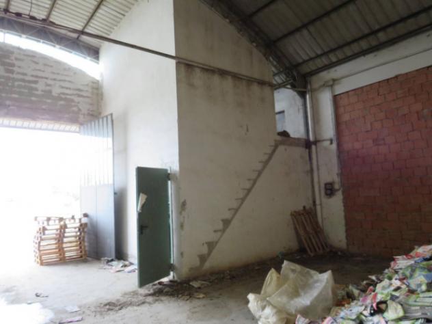 Immobile in asta di 2316 m² in vendita a Boschi Sant'Anna - Foto 14