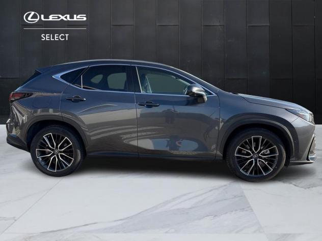Lexus NX Plug-in 4WD Luxury - Foto 7