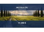 Immobile in asta di 16720 m² in vendita a Mottola