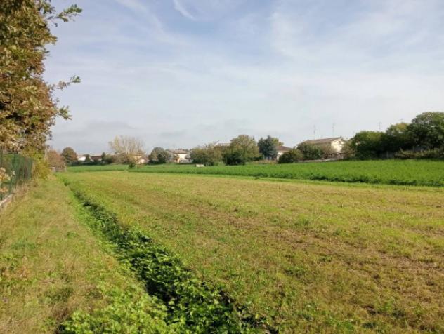 Immobile in asta di 37388 m² in vendita a Novellara - Foto 4