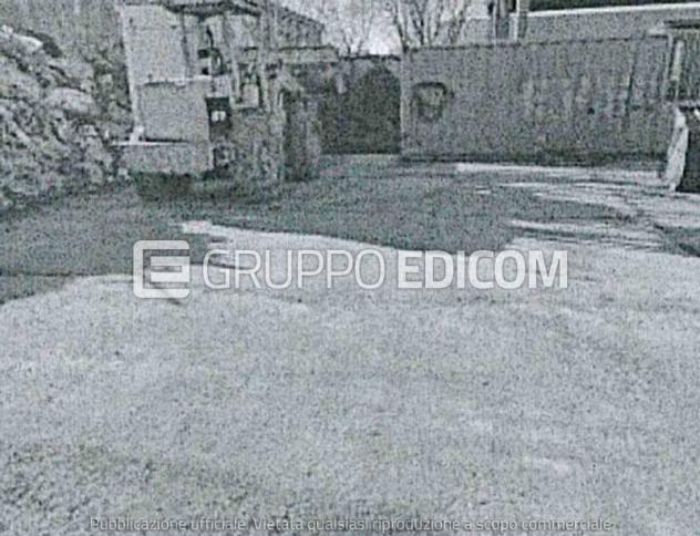 Terreno in vendita a San Cipriano Po - Rif. 4554990 - Foto 3