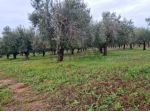 Terreno in vendita a Vittoria