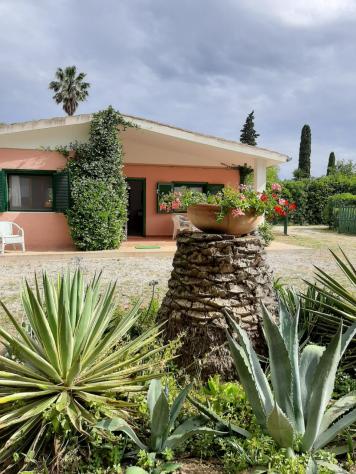 VILLA di 4 vani e di 70 mq (PORTOFERRAIO) rif. 108_15 - Foto 5