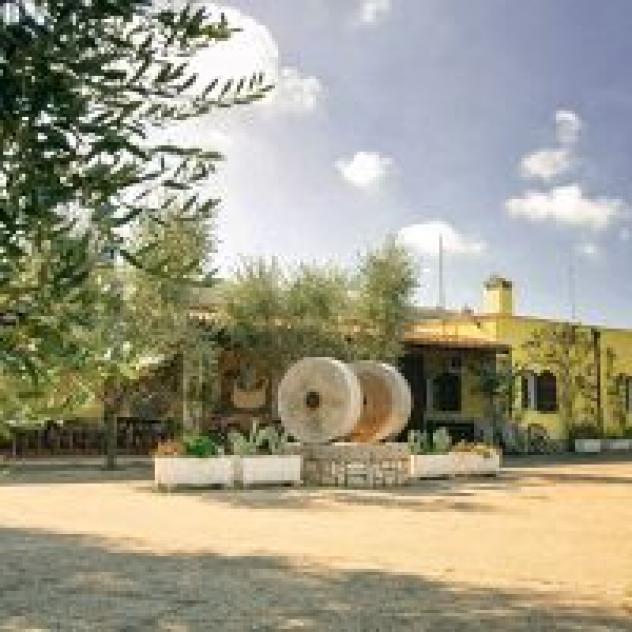 Oleificio F.lli Vieste S.r.l. - Foto 2