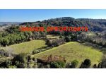 Azienda Agricola in vendita a Montescudaio