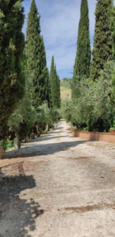 Immobile in asta di 466 m², box auto in vendita a Toffia - Foto 3