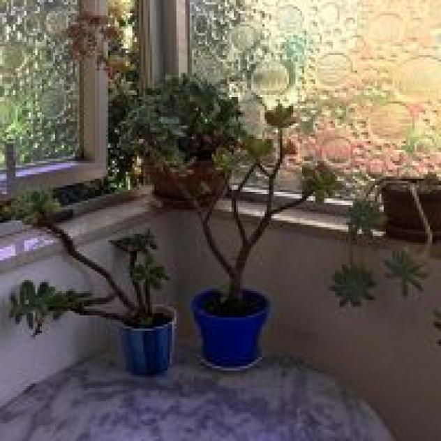 B&B Biologico - Foto 2