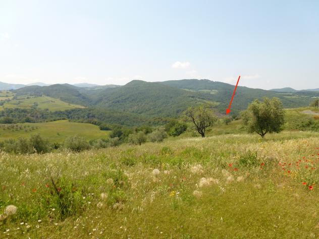Casale in vendita a Pomarance - Foto 6