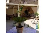 B&B Kalavria
