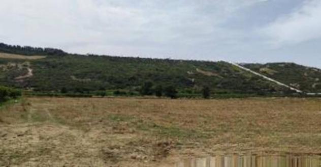 Immobile in asta di 49996 m² in vendita a Tursi - Foto 4