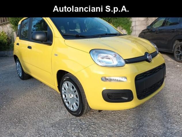 FIAT Panda 1000 HYBRID PANDINA POP 65CV ITALIA rif. 23999457