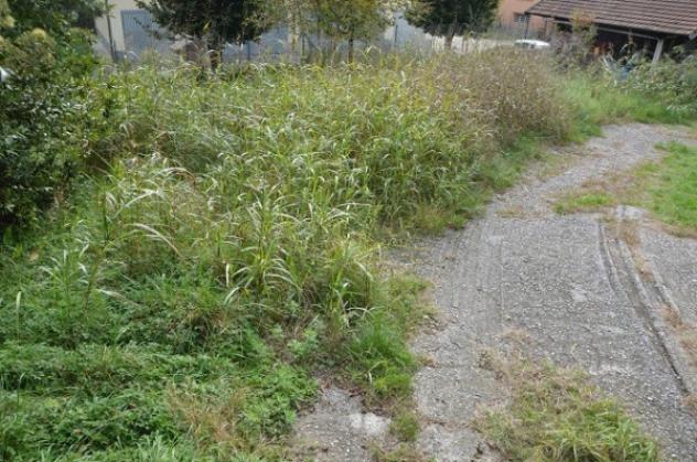 Terreno di 1100 m² in vendita a Gallarate - Foto 11