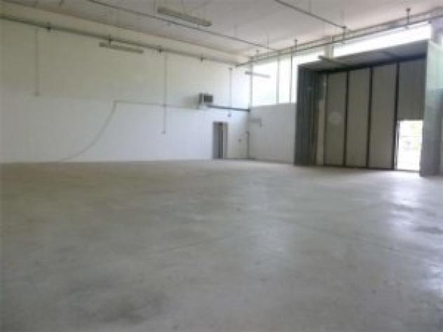 Industriale/Artigianale in vendita a Capannori - Foto 9