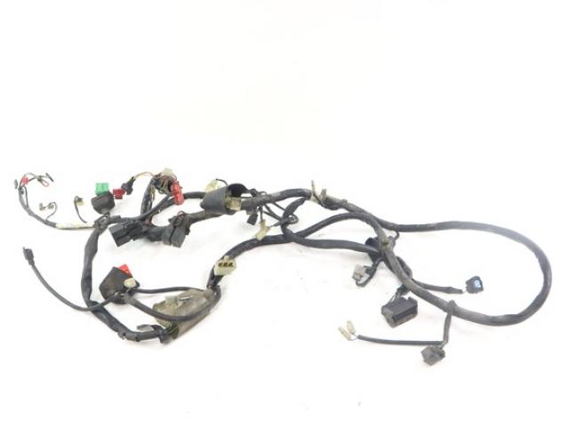 HONDA PANTHEON 150 32100KRJ901 CABLAGGIO IMPIANTO ELETTRICO 03 - 08 MAIN WIRING HARNESS - Foto 5
