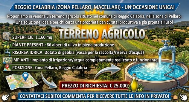 Vendesi terreno sito a Reggio Calabria(Pellaro)