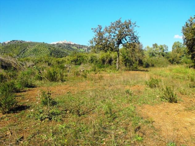 Agricolo in Via Salicuneta - Foto 6