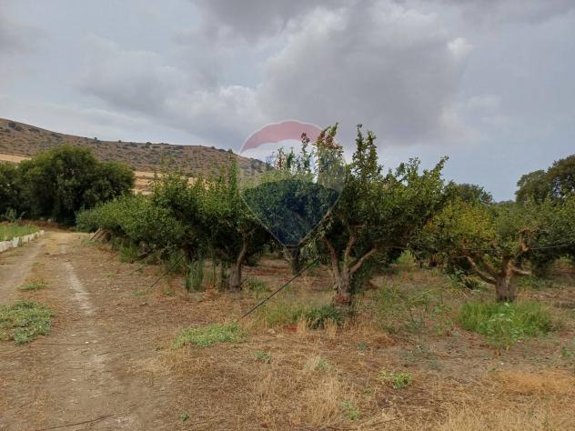 Terreno in vendita a Chiaramonte Gulfi - Foto 10