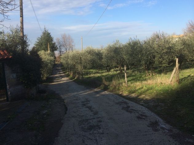 VENDESI lotti terreno agricolo - Foto 6