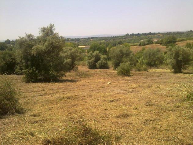 Seminativo in vendita a Siracusa - Foto 3