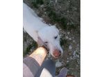 Casper