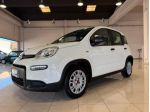 FIAT Panda 1.0 FireFly S&S Hybrid PREZZO REALE 5 POSTI rif. 23811877