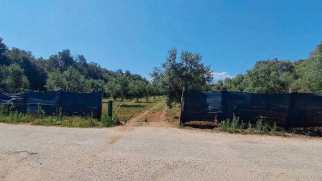 Immobile in asta di 277110 m² in vendita a Gioia Tauro - Foto 14