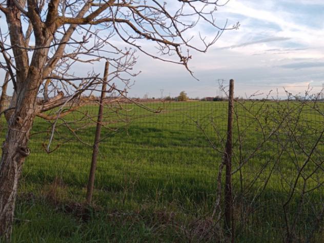 Rustico / Casale di 140 m² con 3 locali in vendita a Novi di Modena - Foto 7