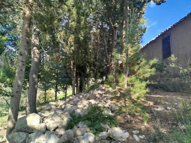 Terreno in vendita a Palazzolo Acreide - Foto 14
