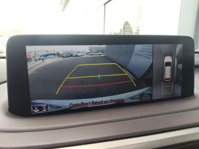 Lexus RX Hybrid 450h Luxury - Foto 10