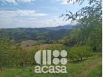 LA TUA SECONDA CASA IN COLLINA