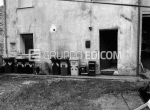Abitazione di tipo civile di 69 mq  in vendita a Miane - Rif. 4556224