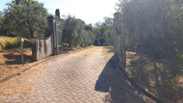 Casa semindipendente in vendita a San Miniato Basso - San Miniato 250 mq Rif: 1337005
