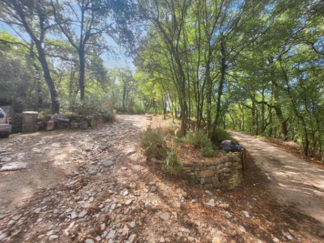 Immobile in asta di 16930 m² in vendita a Todi - Foto 4