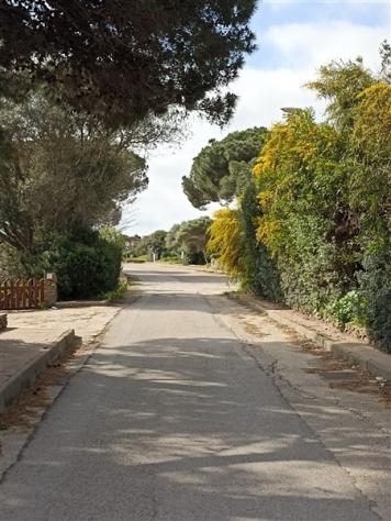 STINTINO - VILLETTA A SCHIERA ZONA CALA LUPO - Foto 8