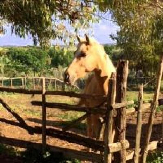 La Fattoria di Poldo - Foto 2